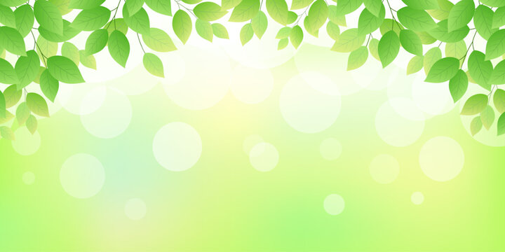 輝く新緑の背景フレーム（2：1）_ベクターイラスト