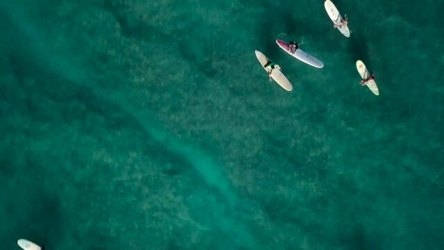 Surfers in waikiki beach honolulu hawaii waiting patiently for a wave to come, AERIAL TOP DOWN DOLLY PAN