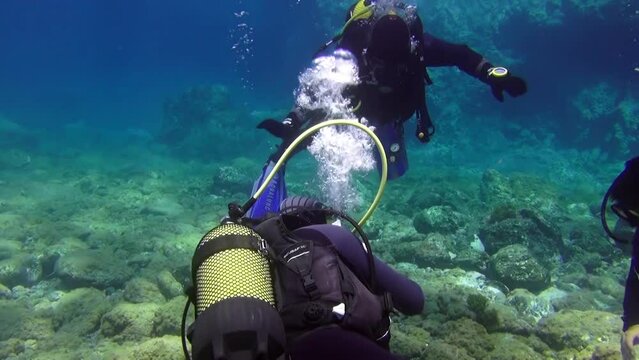 La Palma, Canary Islands - 12 Sep 2012: Group of divers underwater on decompression in Atlantic ocean. Incredible rare footage. Scuba diving in crystal clear water of Spain.