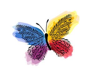 Beautiful colorful butterfly. Vector illustration