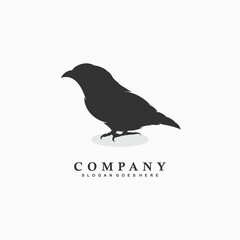 vector illustration of Bird logo design, Bird silhouette