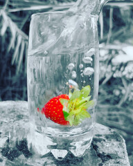 strawberry in ice
