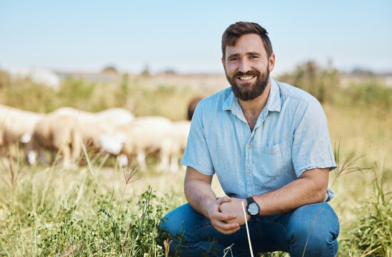 Portrait, farmer and man on field, sheep or smile for growth, production or in nature or sustainability. Face, male or business owner countryside, food industry or farming livestock for sale or happy