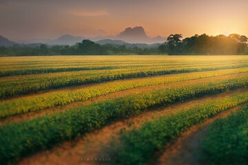 Fototapeta na wymiar Landscape Panoramic view of Tobacco fields at sunset in countryside of Thailand, crops in agriculture, panorama. Generative AI