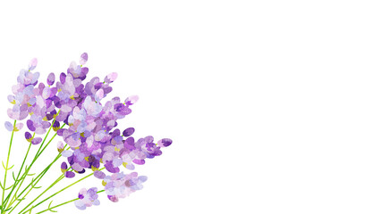 Fototapeta premium 水彩風に加工したラベンダーのイラスト アスペクト比16：9バージョン