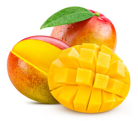 Mango leaves with Clipping Path isolated on a white background. Mango collection