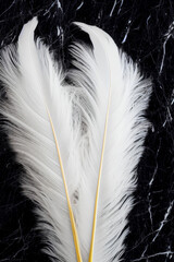 White big isolated two feathers on black marble background. Generative AI