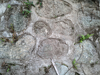 Texture of old gray concrete wall for background