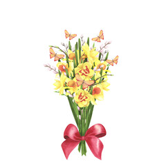 daffodil bouquet with willow, butterfly and red bow on white. Watercolor hand drawing illustration. Art for design