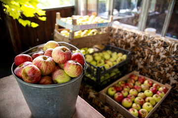 fruit and vegetables. fresh harvest