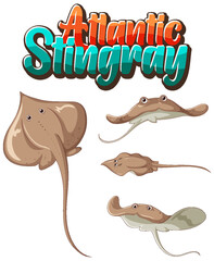 Atlantic stingray cartoon character set