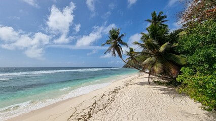 Amazing beaches in the Seychelles