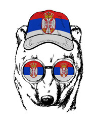 Brown bear's hand drawn portrait. Patriotic sublimation in colors of national flag on white background. Serbia