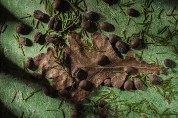 Still life on the kitchen table. Brown roasted beans on a dark green background