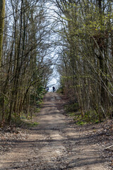 walking in the woods