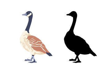 Canada geese. Two bird profile. The black silhouette and the color vintage style bird. Vector illustration on a white background.