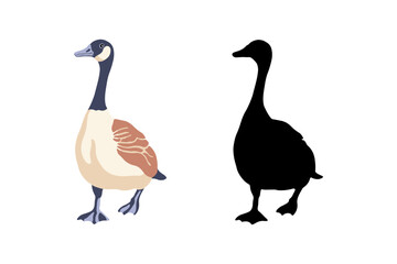 Canada geese. Two birds are moving forward. The black silhouette and the color vintage style bird. Vector illustration on a white background. - obrazy, fototapety, plakaty
