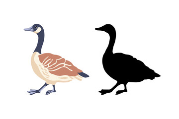 Canada geese. Two birds. The black silhouette and the color vintage style bird. Vector illustration on a white background.