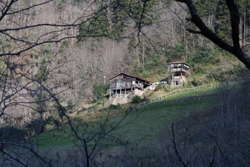 old house in the forest