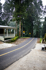 Asphalt road in the middle of the forest in Naringgul Bale Gede Cianjur West Java Indonesia