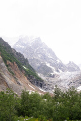 Berge Wald in Georgia Mestia Ushba