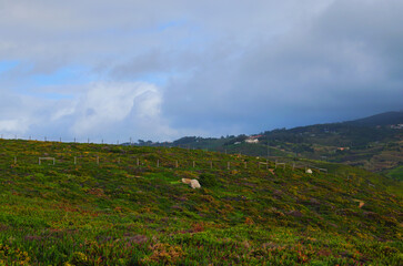 Scenic landscape view of green hills against cloudy sky on Cabo da Roca. Western point of Europe. Cape Roca (Cabo da Roca), Portugal