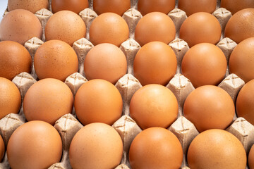 Dozen chicken  eggs in carton box on white background, Eggs in cardboard box on White background.