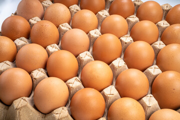 Dozen chicken  eggs in carton box on white background, Eggs in cardboard box on White background.