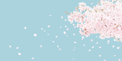 桜 背景 イラスト リアル