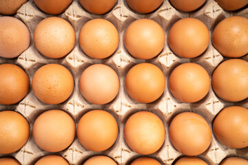 Dozen chicken  eggs in carton box on white background, Eggs in cardboard box on White background.