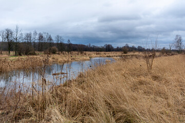 A small, wild river Grabia in central Poland.