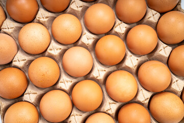 Dozen chicken  eggs in carton box on white background, Eggs in cardboard box on White background.