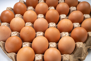 Dozen chicken  eggs in carton box on white background, Eggs in cardboard box on White background.
