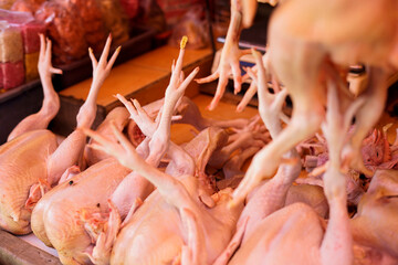 broiler chickens at traditional market traders