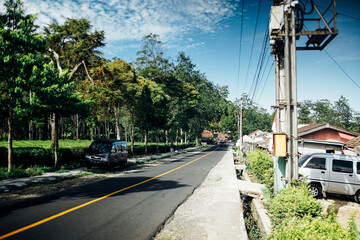 morning atmosphere on the expanse of tea plantations
