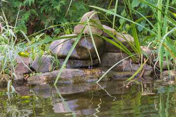 Beautiful shady garden pond with stone banks. Small stone waterfall against backdrop of evergreens. Reflection of stones of waterfall in mirror-clear water of pond. Nature spring concept for design.