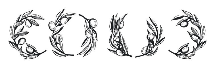 set branches of olives vector sketch