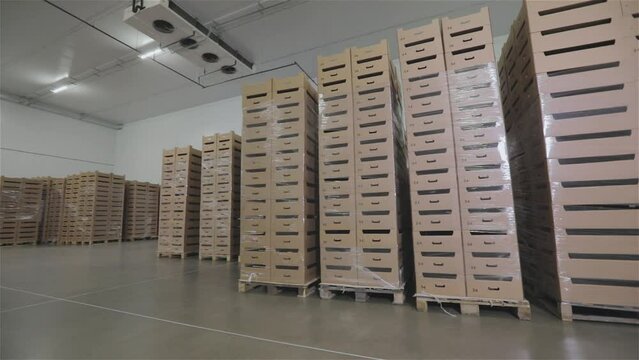 Modern warehouse with food products. A box of food in a warehouse. Boxes in a modern warehouse. Boxes in stock