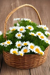Fototapeta na wymiar a bouquet of daisies in a basket on an old weathered wooden background, artificial flowers - generative ai