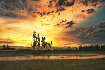 lagoon and trees at sunset