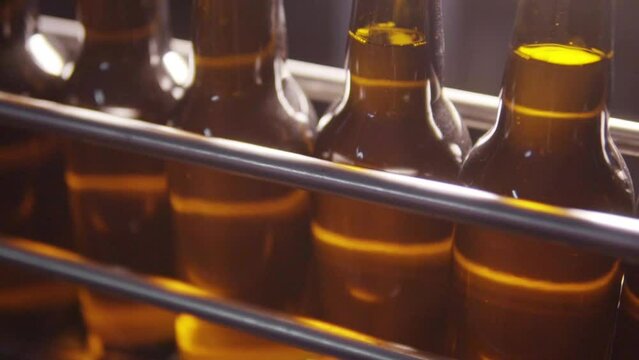 Beer bottles in row on machinery at brewery