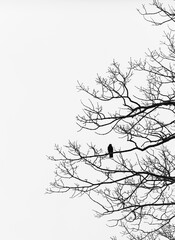 Silhouette of bird sitting on bare branches of a tree in winter.