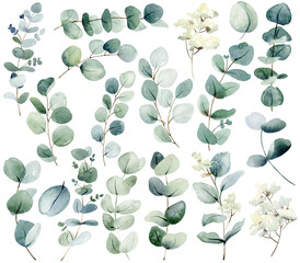 Set of watercolor eucalyptus leaves for wedding invitation, stationary, greeting card, wallpapers, frames, background, etc.