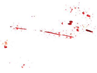 Vector of blood splatter stain overlay isolated on white background.

