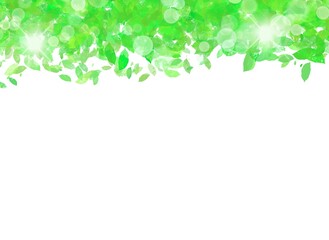 木々の葉から沢山の温かい光が差した木漏れ日が心地いい背景素材