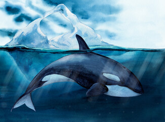 Killer whale (Orcinus orca), against the background of ice drifting in the ocean. Iceberg with a view under water. Watercolor illustration. A wild killer whale swims in the water, exposing its fin