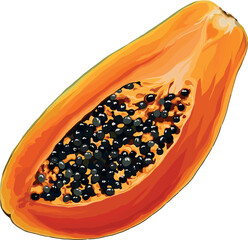 Isolated papaya on white background. Half an orange papaya. Ripe papaya with seeds. Vector illustration. Print, banner, label, sticker, logo. 