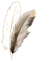 Türaufkleber Federn Watercolor beige and gold feathers, glitter outlines, Bohemian element illustration isolated
