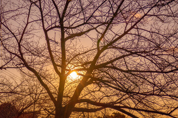 ノスタルジックな背景素材