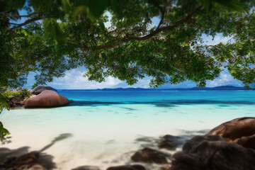 tropical paradise beach beautiful water ocean